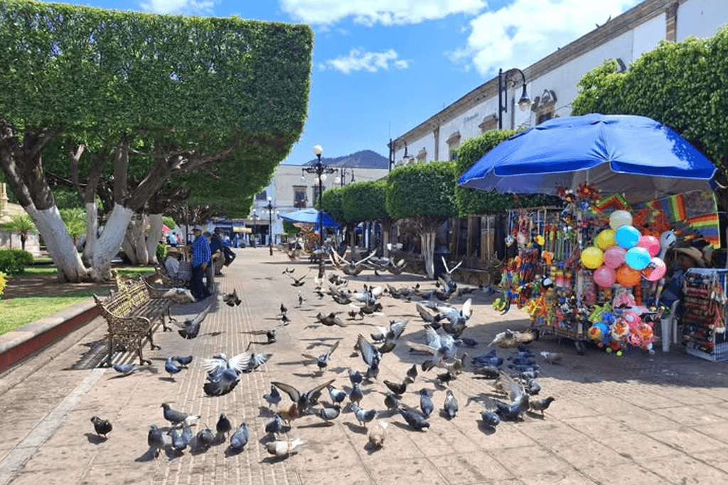 Vida local en Lázaro Cárdenas