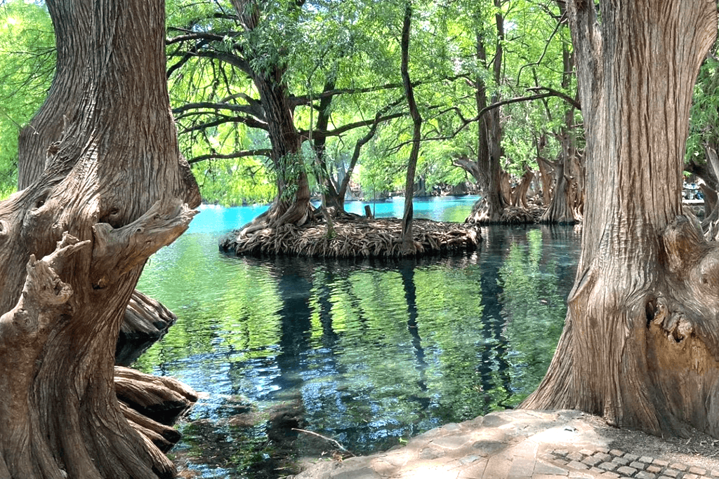 Naturaleza de Michoacán